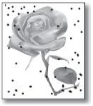 Resim 4