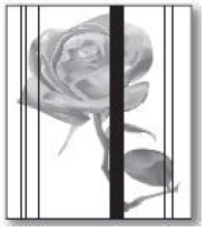 Resim 5