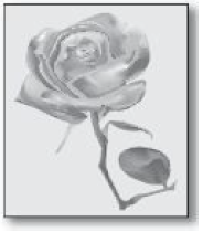 Resim 8