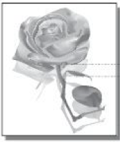 Resim 9